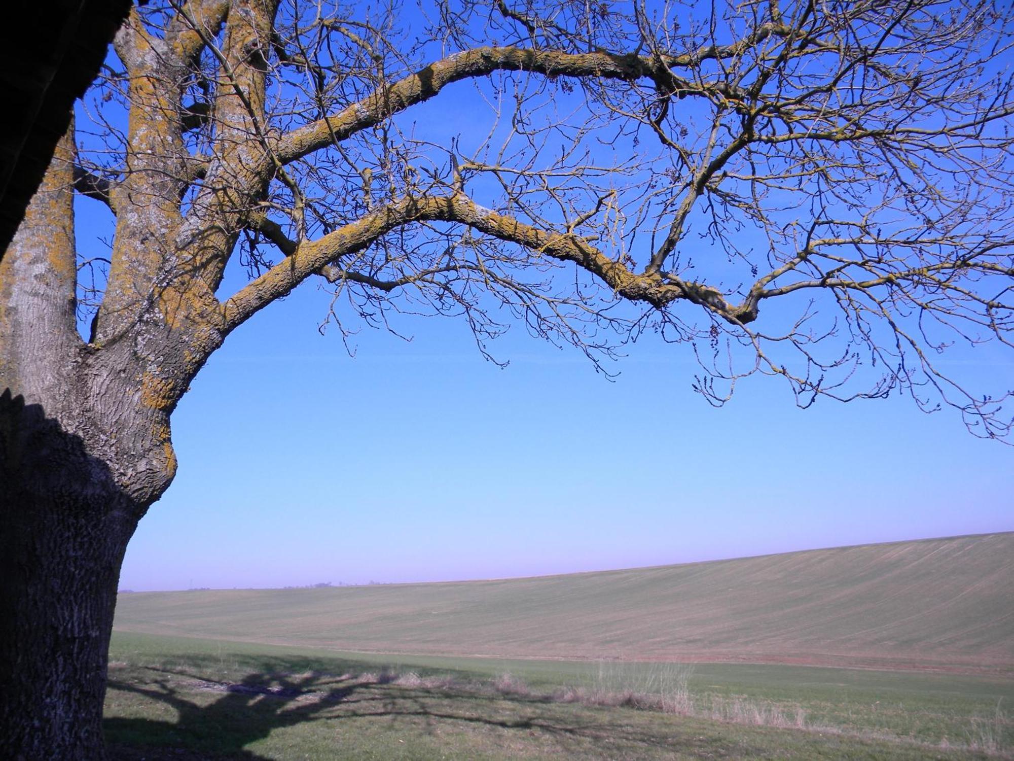 D'hôtes Le Loubet * LʼIsle-Jourdain