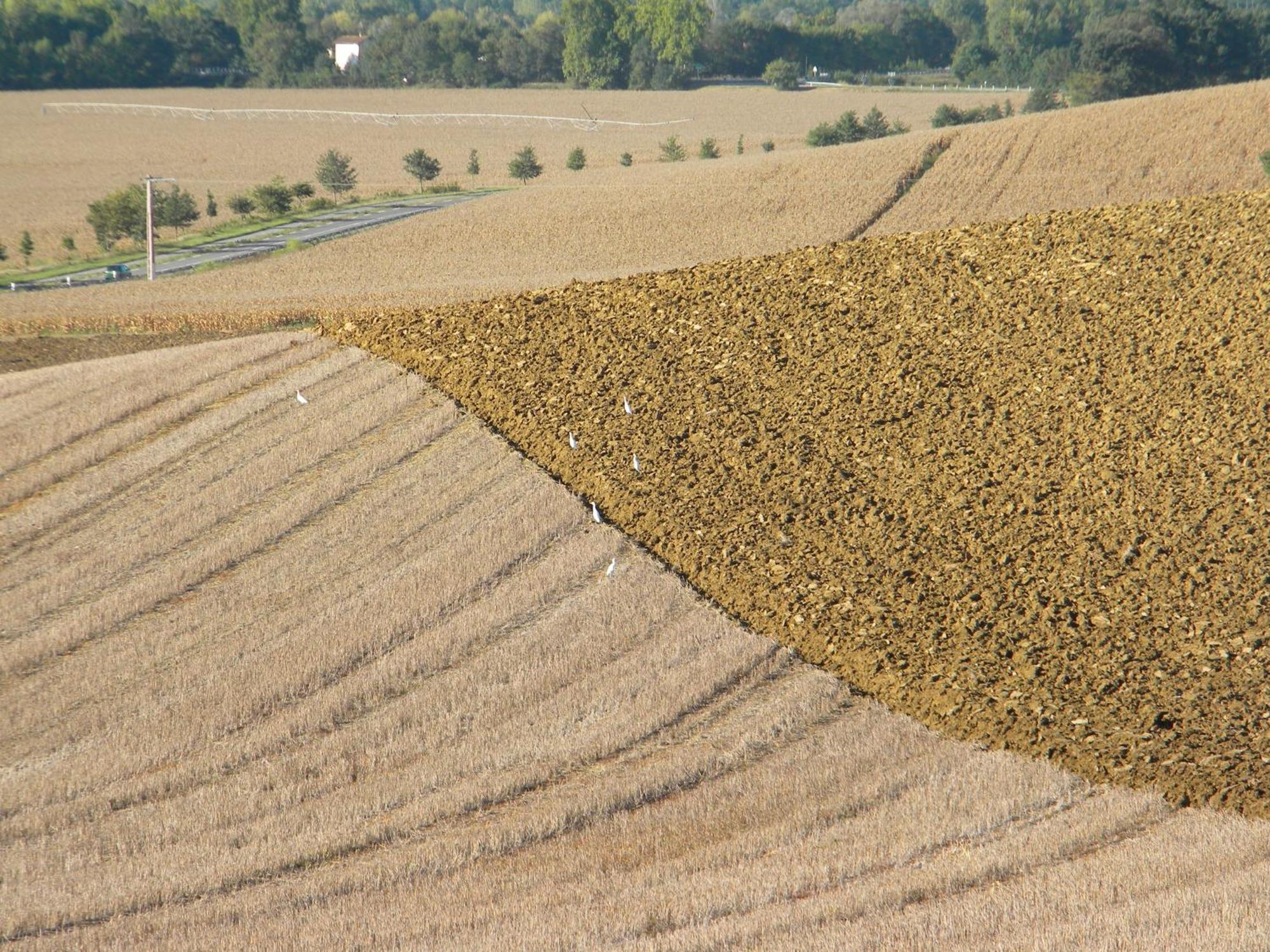 D'hôtes Le Loubet